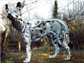 Hubcap creatures-̤